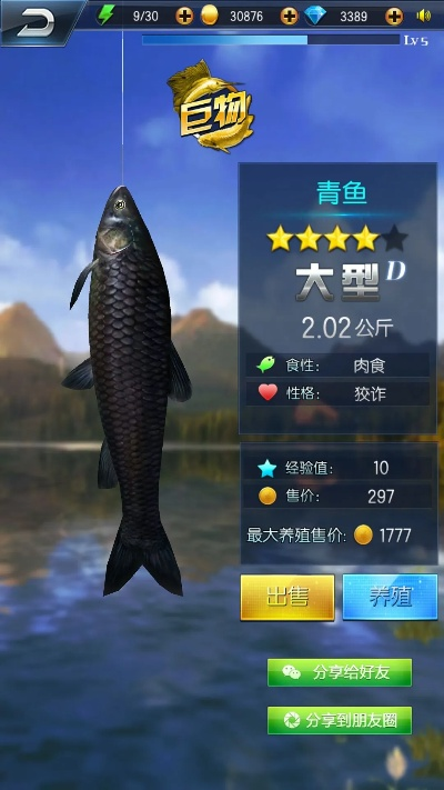 钓鱼王者单机版与QQ百度手机助手下载电脑版官方下载，创意设计与执行的无界之旅