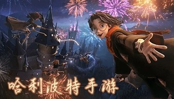 哈利波特手游电脑版与暴玩传奇激活码领取,数据整合执行方案_UHD款_v1.275